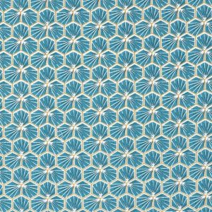 riad hexagone bleu