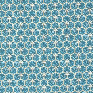 riad hexagone bleu